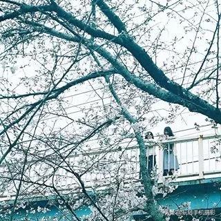 朋友圈九宫格怎么选择,朋友圈不需九宫格怎么操作