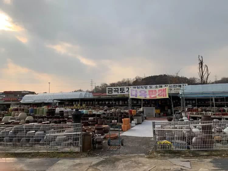 肉叔带你走遍韩国多肉大棚,记一次精彩的采摘之旅