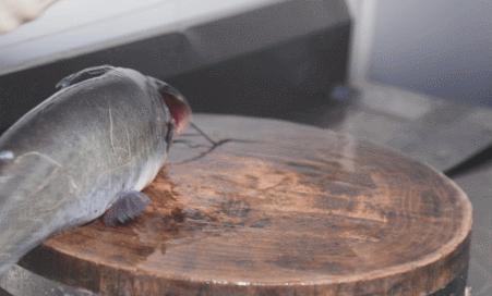 云南特色蒸汽石锅鱼什么鱼最好,特色美味云南蒸汽石锅鱼