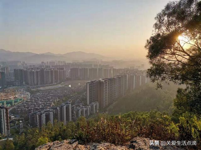 惠州市惠阳区亚公顶森林公园游记,惠阳亚公顶森林公园怎么走