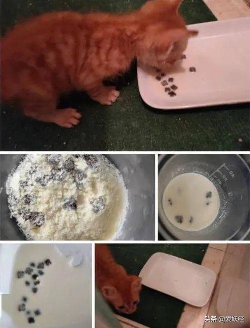 软便精有救了？干了这碗粮，养胃又护肠