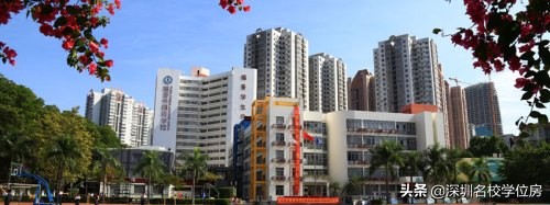 深圳十大民办初中学校排名表,深圳民办初中排名前十名