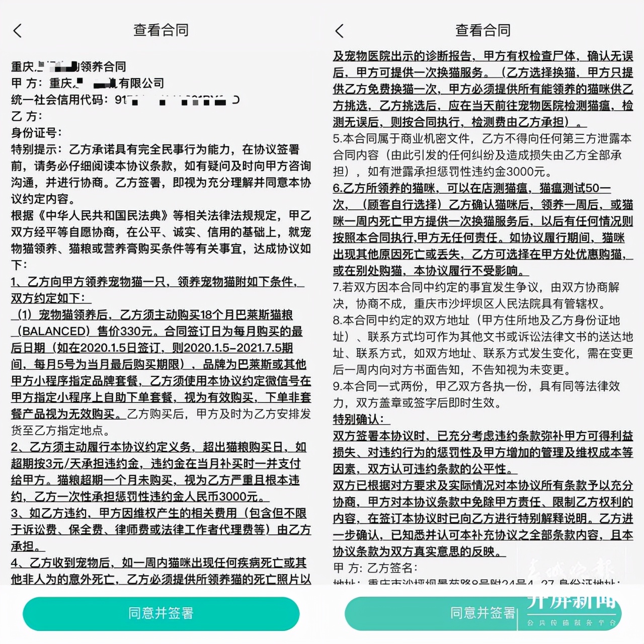 小猫被领养两天后死亡,猫咪被领养后续