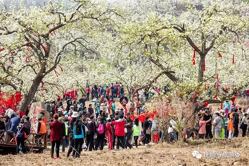 抚顺市政府五一放假通知,抚顺五一跨省出行的最新通告