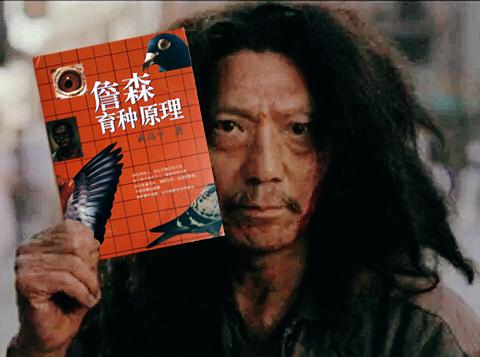 纯种鸽的鉴定方法,优秀种鸽怎样育种