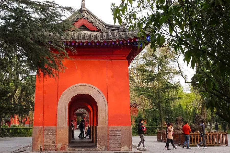 四川成都新津最新网红打卡景点,成都网红打卡景点免门票