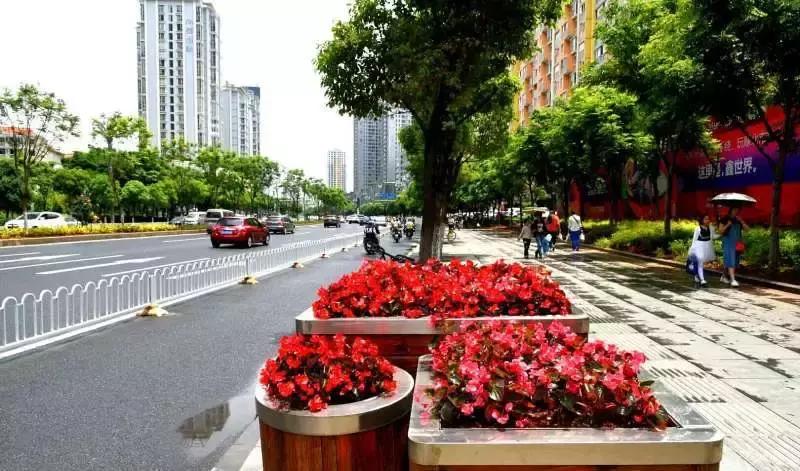 未来昆明发展潜力最大城市,昆明和青岛哪个城市发展潜力大