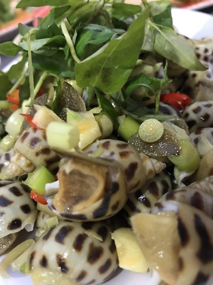 越南岘港芽庄旅行,越南岘港旅游攻略