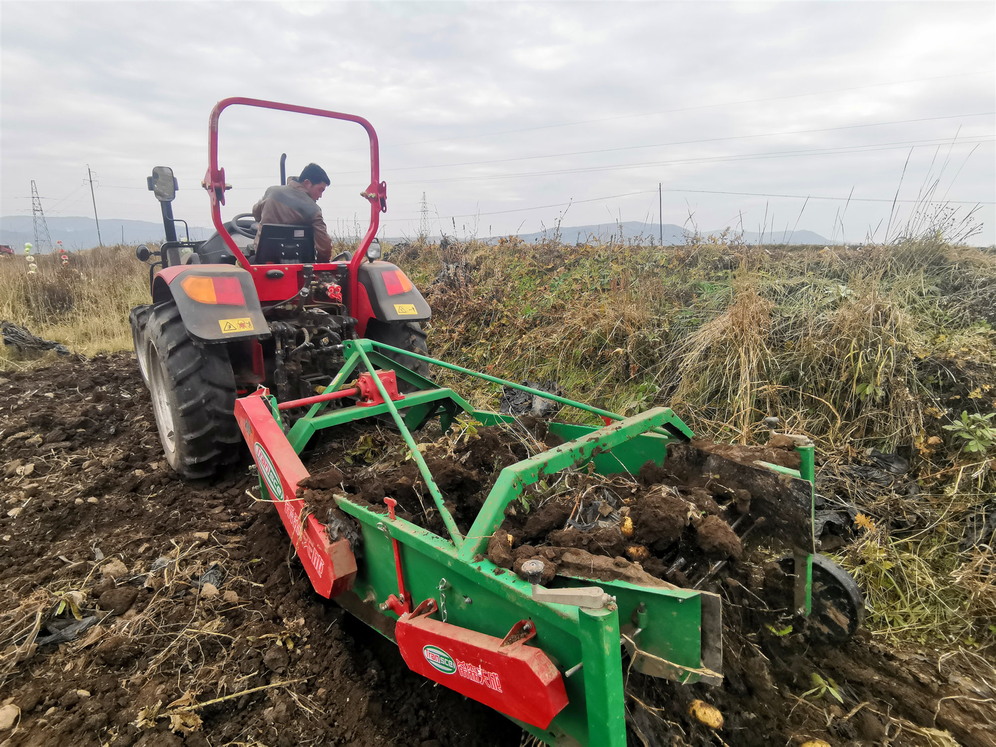 渭源会川镇一牛人凭“公司+基地+专业合作社+农户”创出致富路