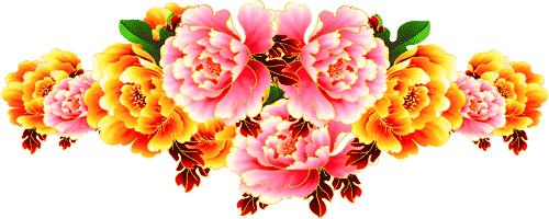 今日重阳愿天下父母健康长寿,重阳节之日愿天下父母健康长寿