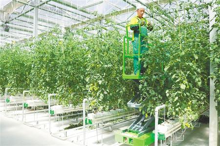 城中有绿城在绿中兰州新区绘就最美发展底色