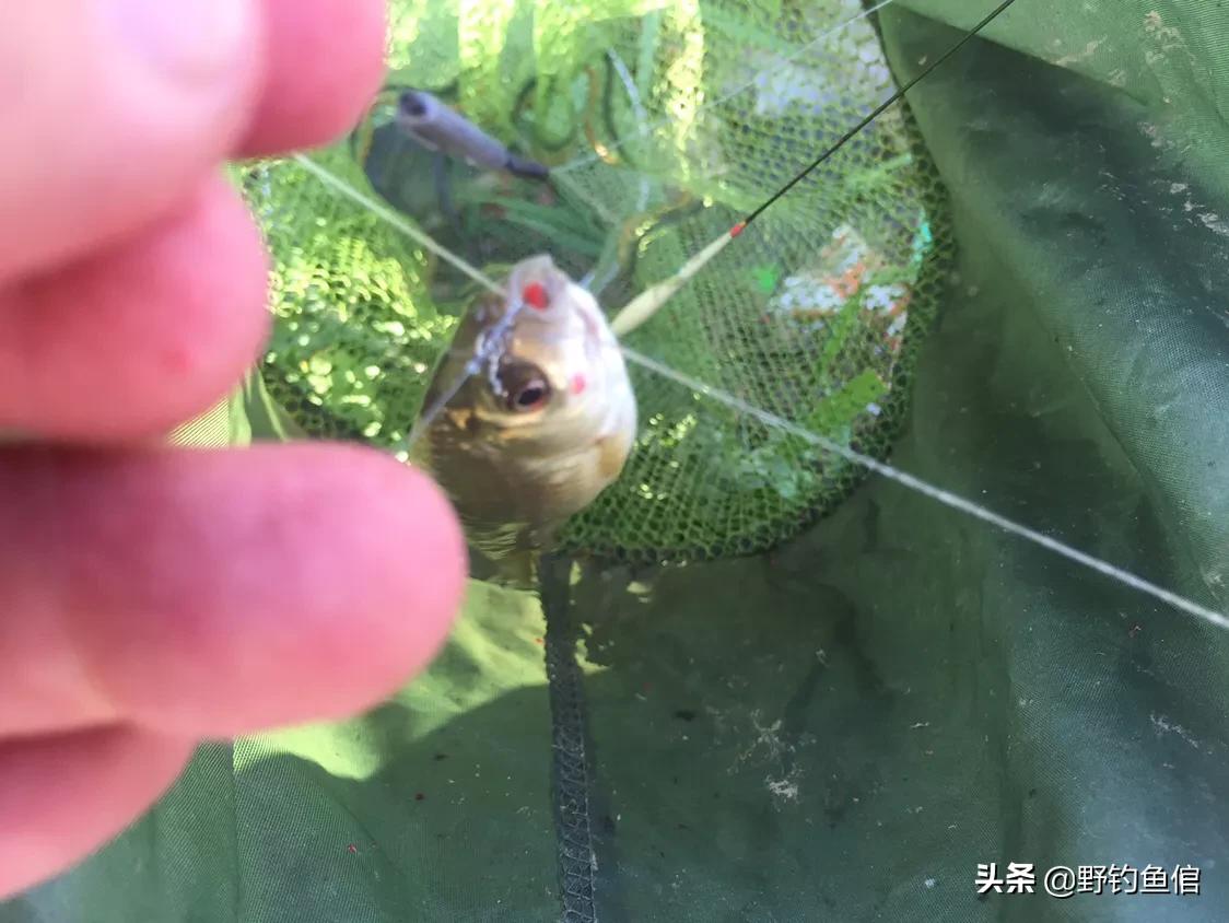 不用穿针直接拉线钓鱼,不用花一毛钱做一个路亚竿