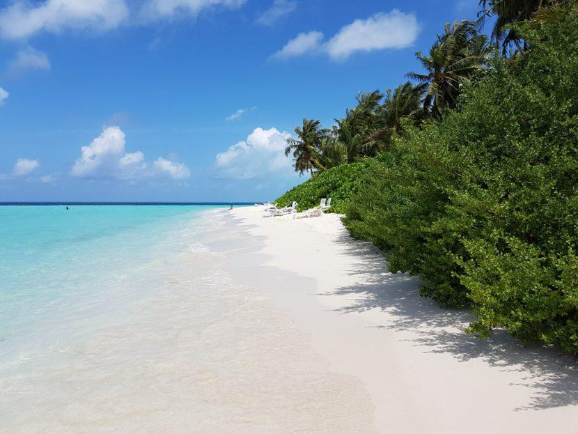 2020马尔代夫比亚度岛游玩攻略，全面介绍房型美食活动和一价全包