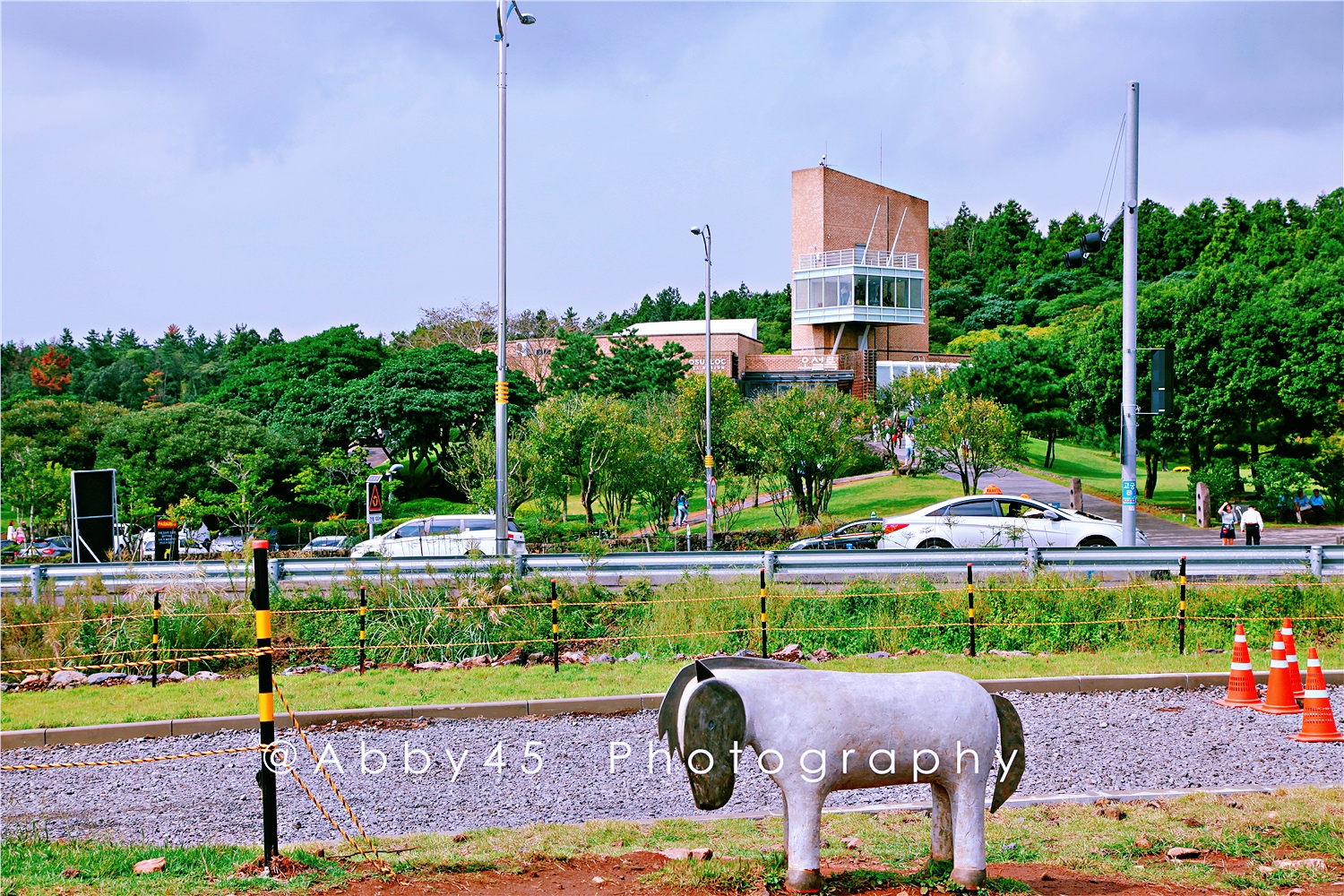 韩国一杯咖啡钱飞济州岛，疫情尚未结束，不如先云游济州岛
