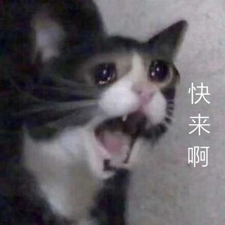 “由于在家太无聊，朋友终于吃我安利了！”