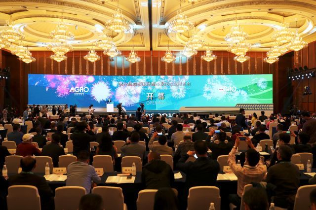 农村电商振兴创意视频,互联网创新创业乡村振兴项目点子