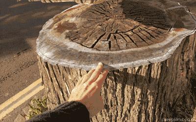 笑里藏刀的幽默笑话,笑里藏刀的幽默搞笑段子