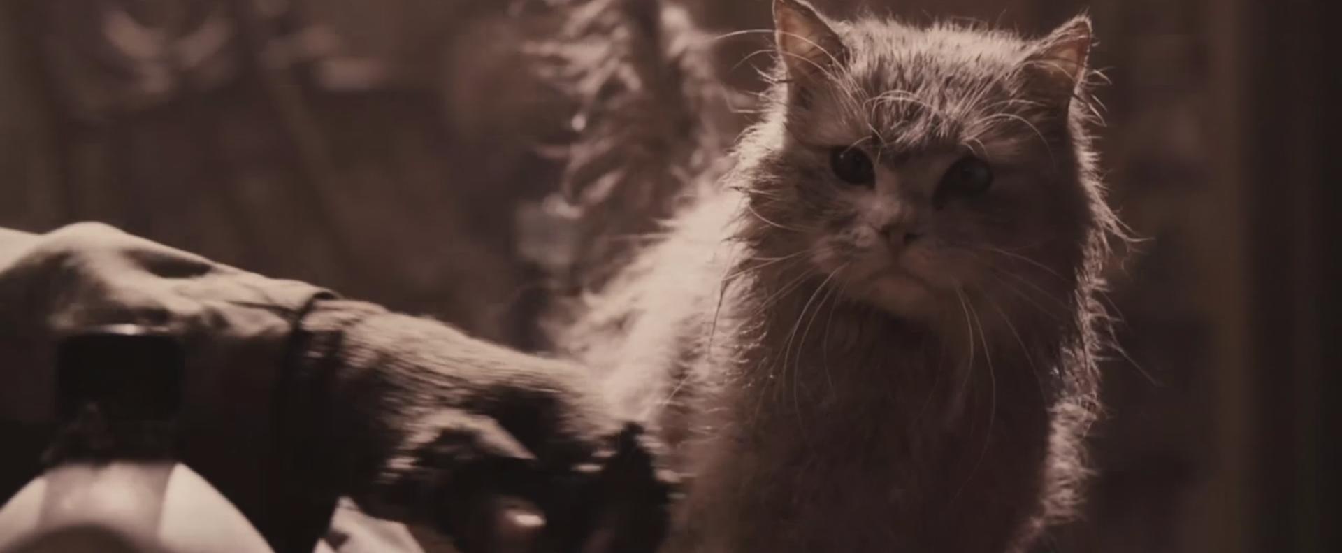 6部高分世界末日电影你看过几部,推荐十部看了十遍以上的末日电影