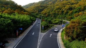 厦门经济特区是哪个区,厦门属于经济特区的城市吗