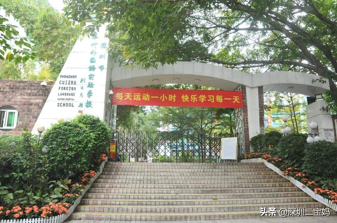 深圳罗湖区九大教育集团,深圳罗湖有哪些好的教育集团