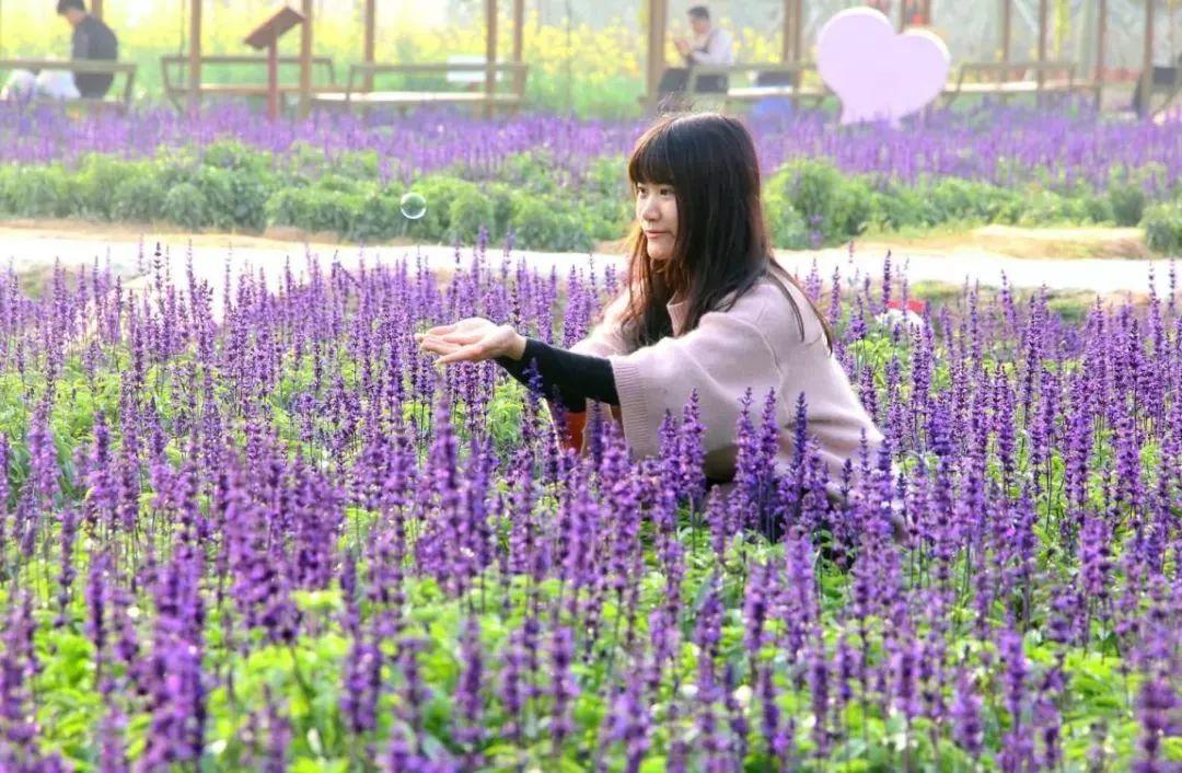 水上乐园超级大喇叭体验,挑战十大世界上最大的水上乐园