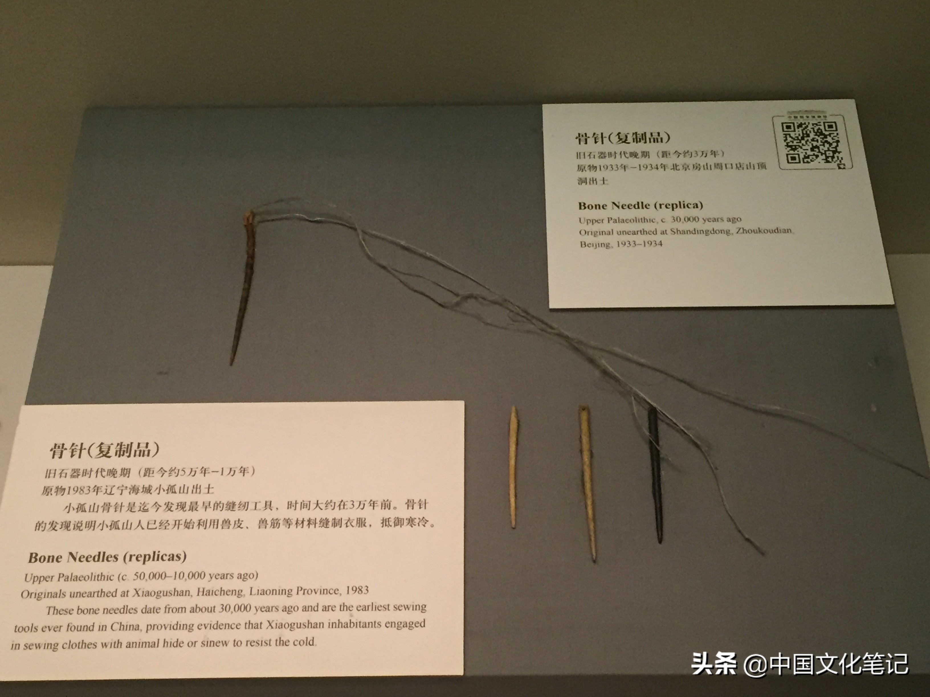 远古时期骨器,连骨头都不剩的排骨