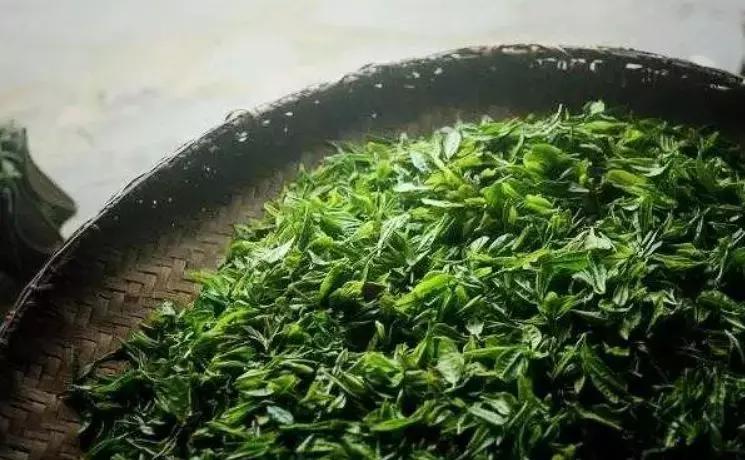 历史上的名茶有哪些,长见识的茶