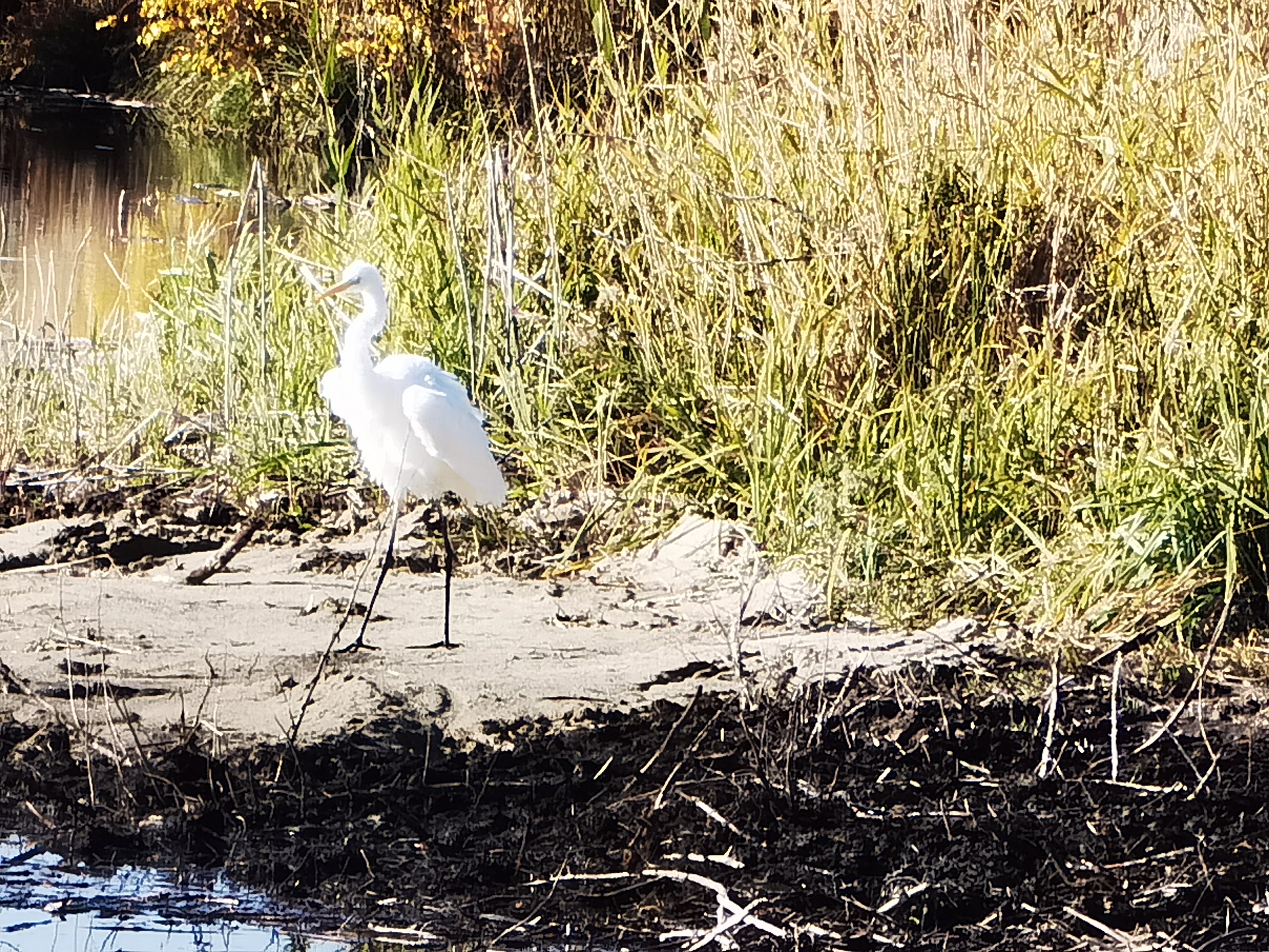 自驾游*疆新**：原来你是这样的白沙湖