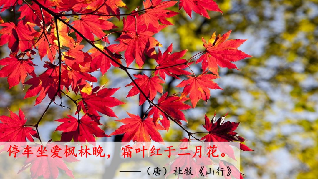 一年级语文下册春夏秋冬生字笔画,部编版一年级上册课文朗读完整版