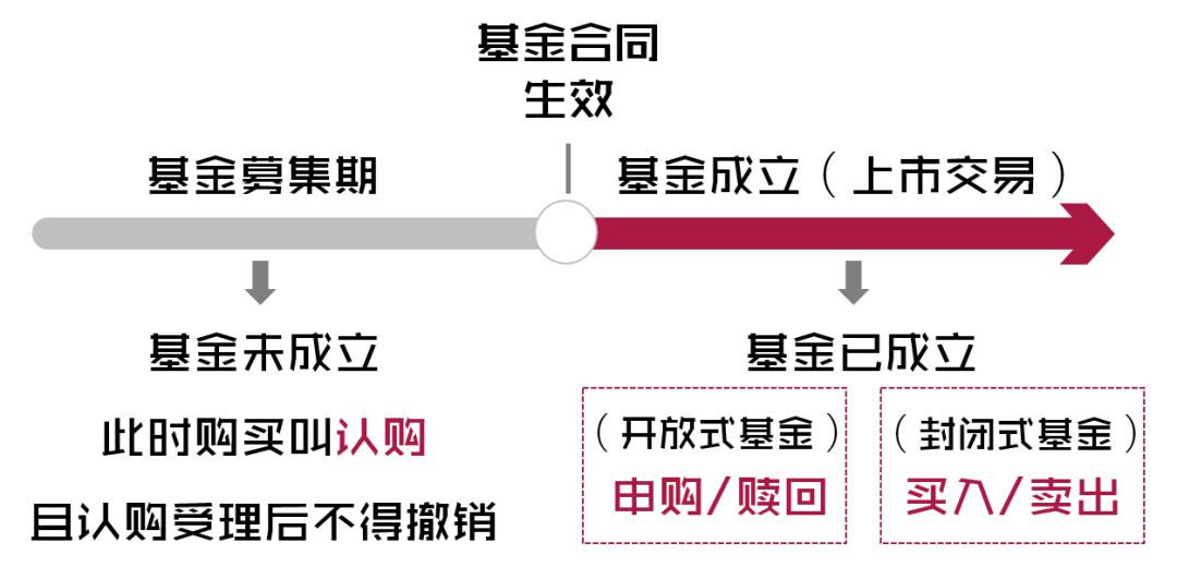 投资基金基础知识大全,搞清资本赚钱的秘密