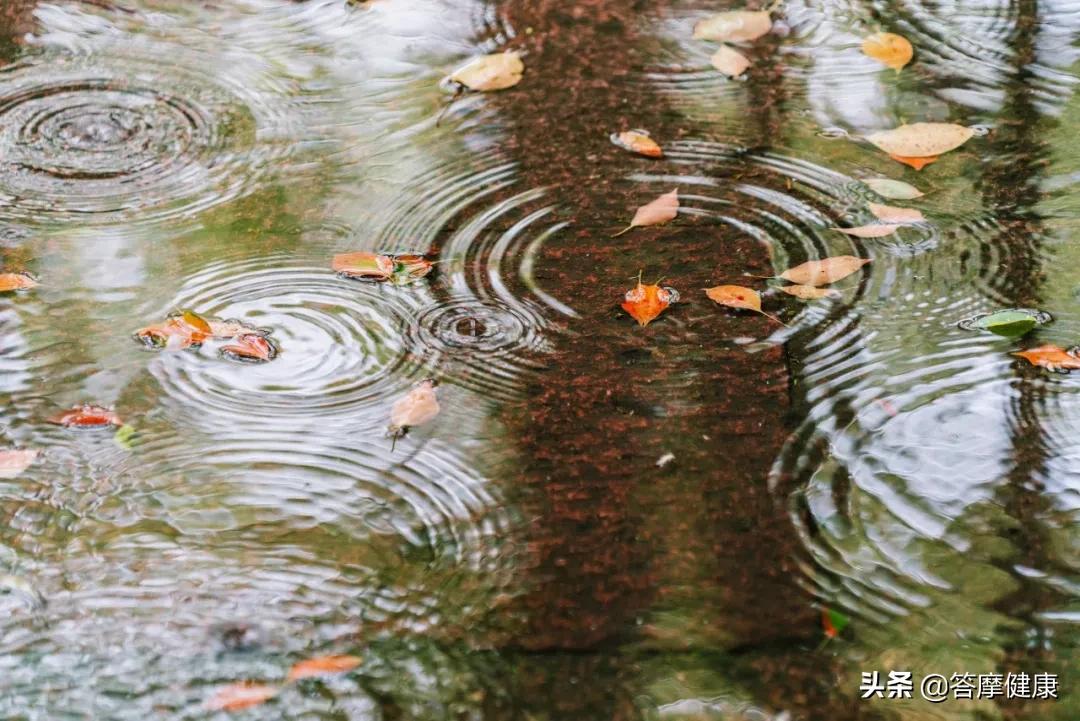 湿疹、犯困…折磨人的「湿邪」到底是什么？怎么辨？怎么治？