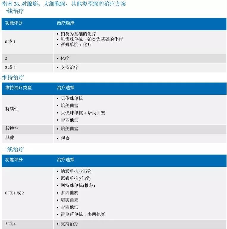 2022肺癌诊疗指南中文版,肺癌指南2024年版