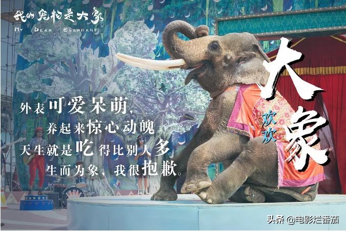 刘青云五大经典片段,刘青云经典感人片段