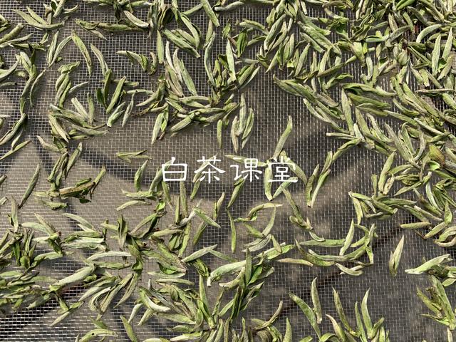 看完这六个问题你还敢迷茫吗,看完这六个问题你还再迷茫吗