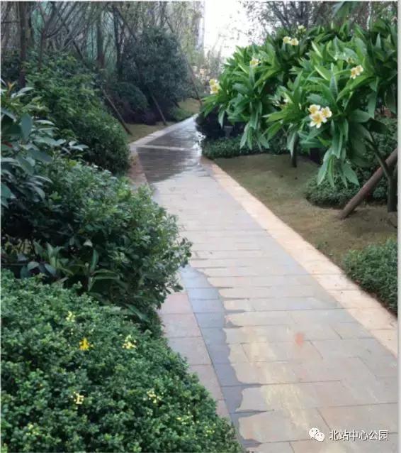 深圳将建8万人专业足球场,全国最大足球公园