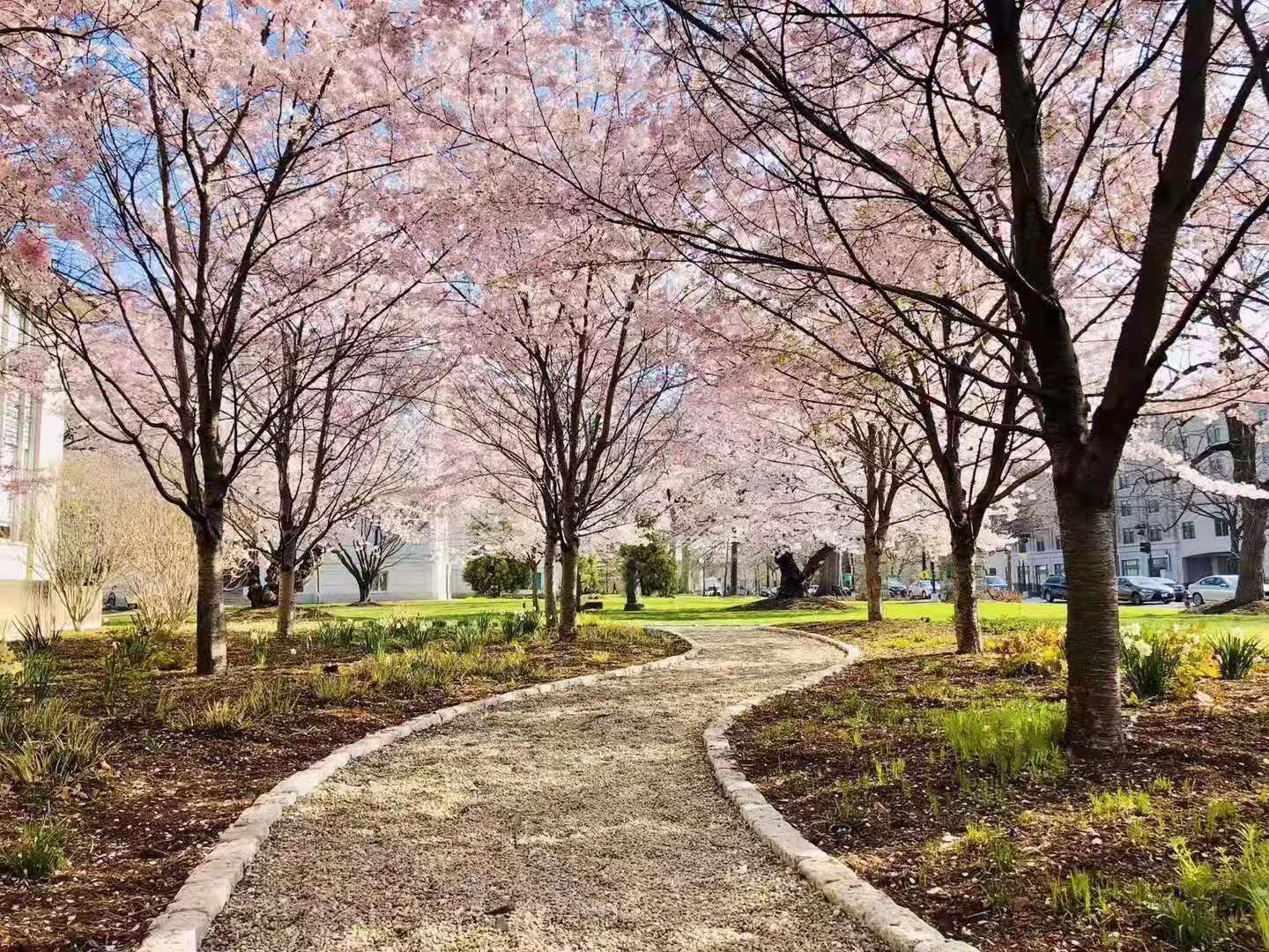 北卡罗来纳州立大学硕士有前途吗,北卡罗来纳州立大学有何特色