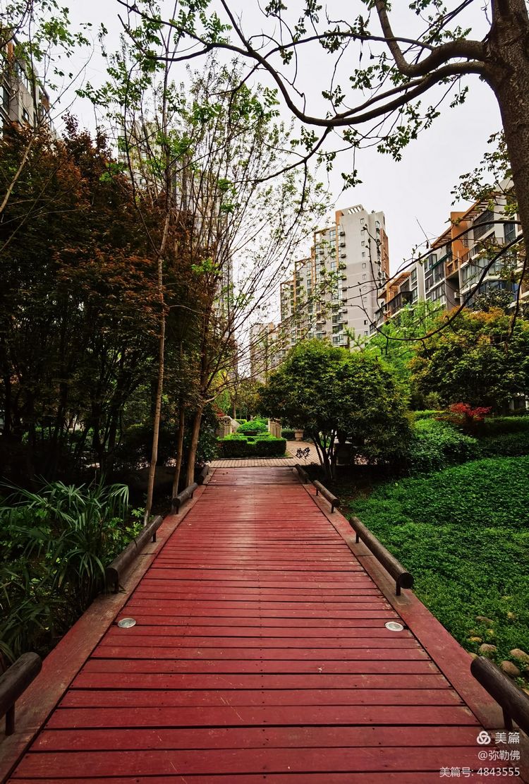 高新枫林华府住房,高新枫林华府小区评测