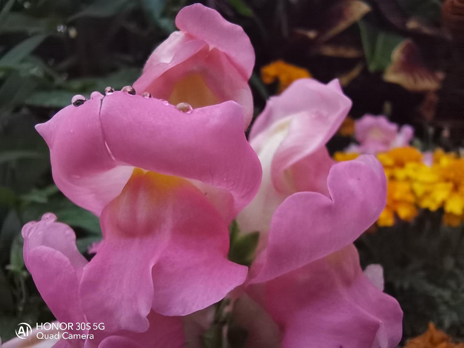 荣耀30S评测：首发新神U麒麟820，更有6400万像素相机