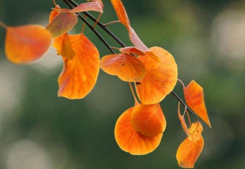 人生真正的迷茫从四十岁开始,人到中年开始思考人生的苦涩了吗