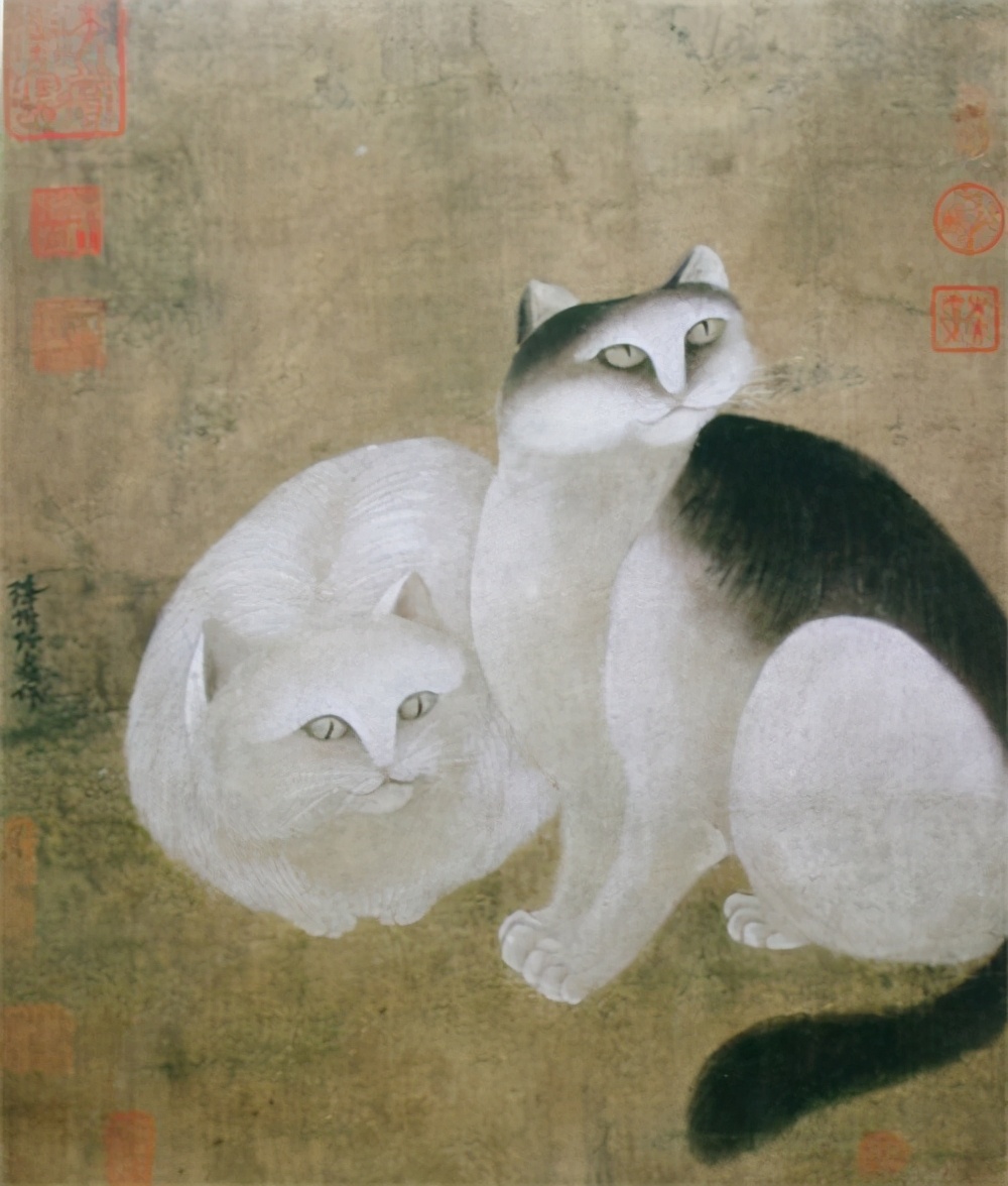 宫猫图鉴在哪儿,宫猫图鉴个人主页