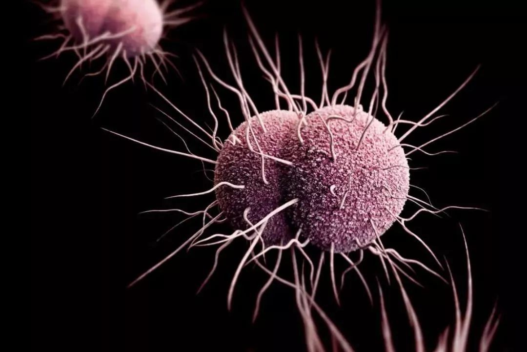 哪些疾病是通过性传播的,哪些病会通过性传播