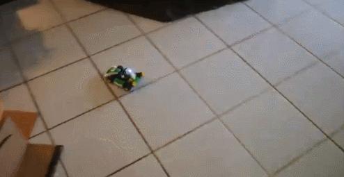 玩《马力欧卡丁车实况：家庭赛车场》前，你问过你家猫咪了吗？