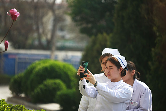 安国医院：寻常好景时时有，人间最美三月天。