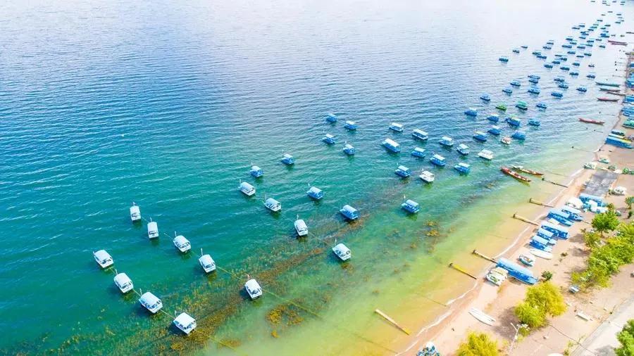 等一个人陪我去湛江,等一个人陪我去旅游