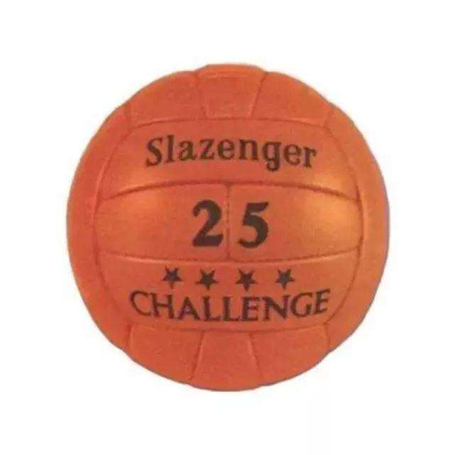 历届世界杯比赛用球,世界杯历届比赛用球介绍