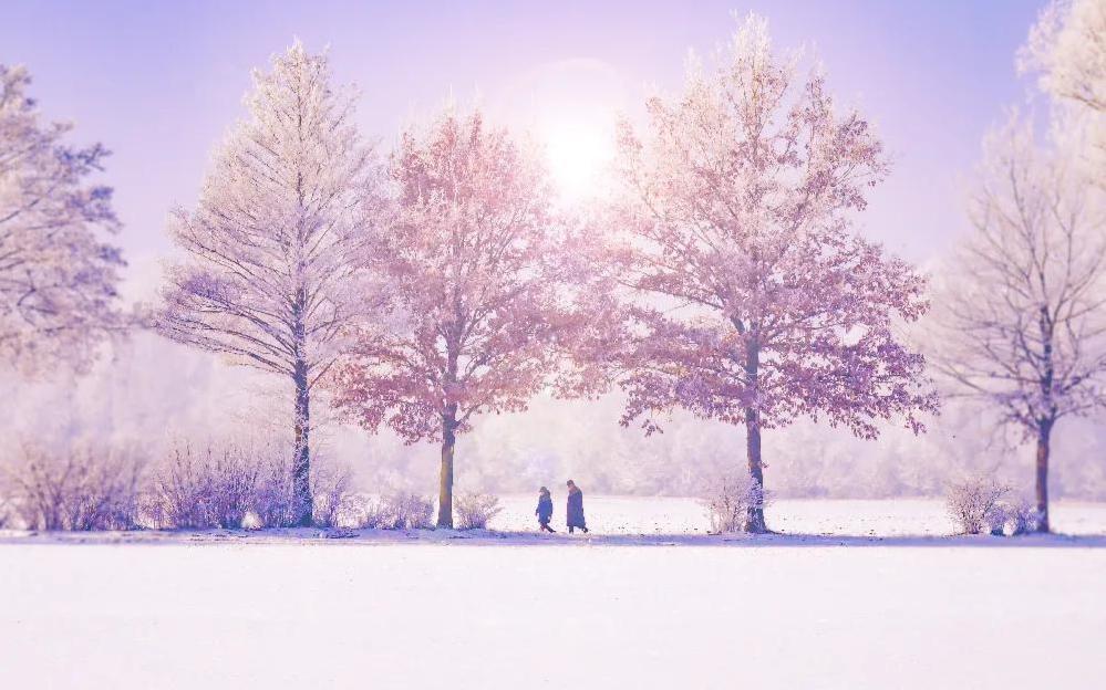 你很压抑？来！2020年第十一期晴天心理沙龙线下活动