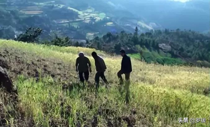 烈士的荣光！罗援洒泪：他们是败仗中的勇士，勿使英雄流血又流泪