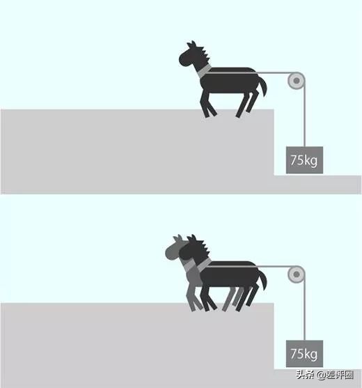 扭矩越大加速就越好吗,为什么扭矩大提速就快