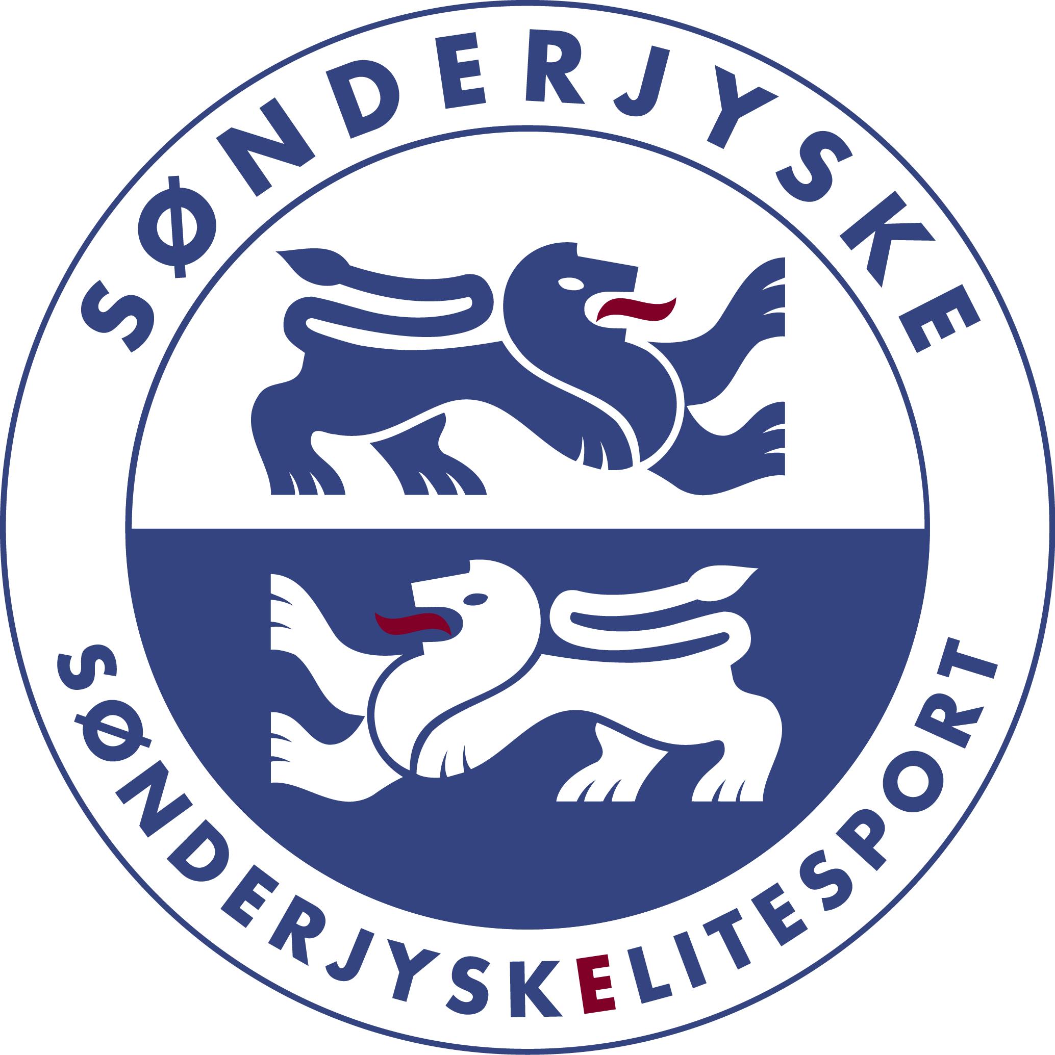 丹麦超级联赛积分榜2024赛季,丹麦国家足球队徽图片