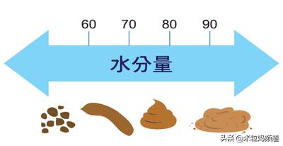 便秘是因为大肠缺水吗,宝宝便秘是因为油少了吗